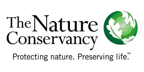 THE NATURE